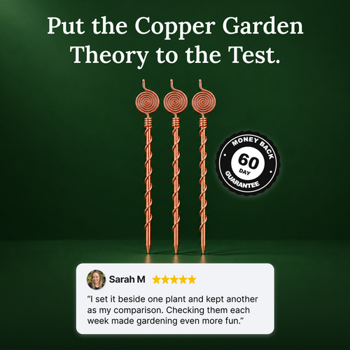 ElectroCulture Pure Copper Antenna